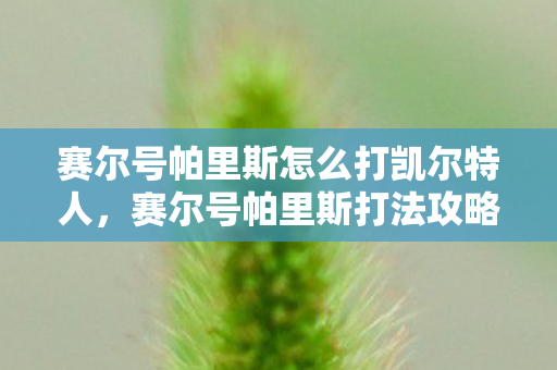 赛尔号帕里斯怎么打凯尔特人,赛尔号帕里斯打法攻略 赛尔号帕里斯怎么打凯尔特人,赛尔号帕里斯打法攻略
