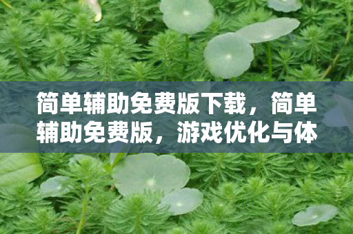 简单辅助免费版下载，简单辅助免费版，游戏优化与体验提升的神器
