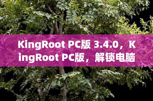 KingRoot PC版 3.4.0，KingRoot PC版，解锁电脑管理权限的利器