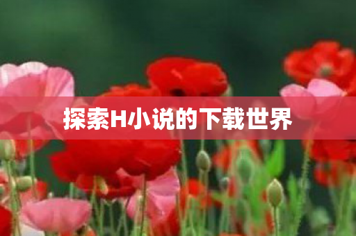 探索H小说的下载世界