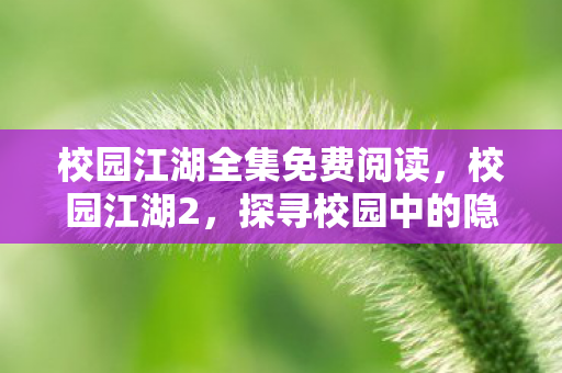 校园江湖全集免费阅读，校园江湖2，探寻校园中的隐形江湖