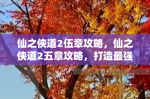 仙之侠道2伍章攻略，仙之侠道2五章攻略，打造最强角色，征服仙界