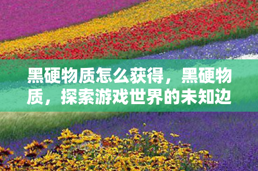 黑硬物质怎么获得，黑硬物质，探索游戏世界的未知边界