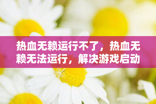 热血无赖运行不了，热血无赖无法运行，解决游戏启动问题的全面指南