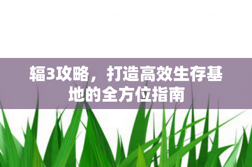 辐3攻略,打造高效生存基地的全方位指南 辐3攻略,打造高效生存基地的全方位指南