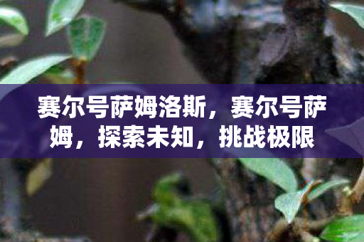 赛尔号萨姆洛斯，赛尔号萨姆，探索未知，挑战极限