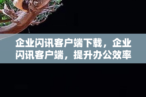 企业闪讯客户端下载，企业闪讯客户端，提升办公效率，重塑企业沟通新生态
