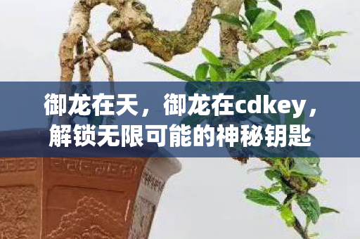 御龙在天，御龙在cdkey，解锁无限可能的神秘钥匙