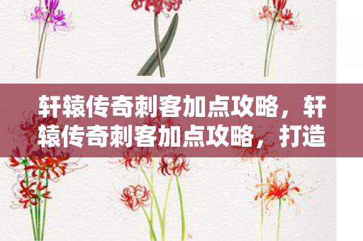 轩辕传奇刺客加点攻略,轩辕传奇刺客加点攻略,打造顶级刺客的加点指南 轩辕传奇刺客加点攻略,轩辕传奇刺客加点攻略,打造顶级刺客的加点指南