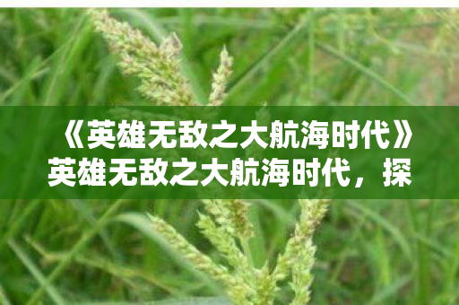 《英雄无敌之大航海时代》英雄无敌之大航海时代，探索未知，征服海洋