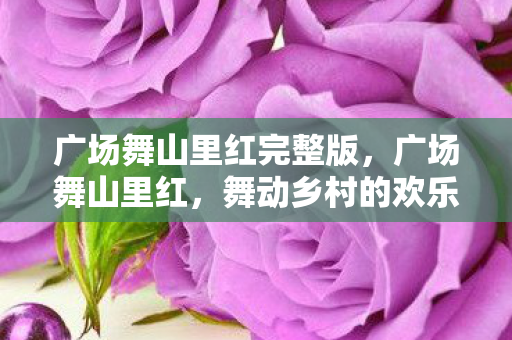 广场舞山里红完整版，广场舞山里红，舞动乡村的欢乐旋律