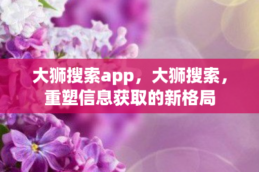 大狮搜索app，大狮搜索，重塑信息获取的新格局