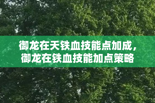御龙在天铁血技能点加成，御龙在铁血技能加点策略