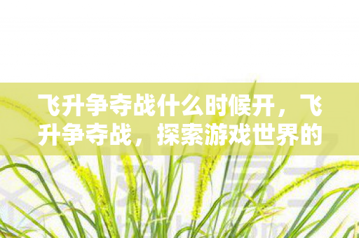 飞升争夺战什么时候开，飞升争夺战，探索游戏世界的无限可能