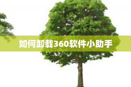 如何卸载360软件小助手
