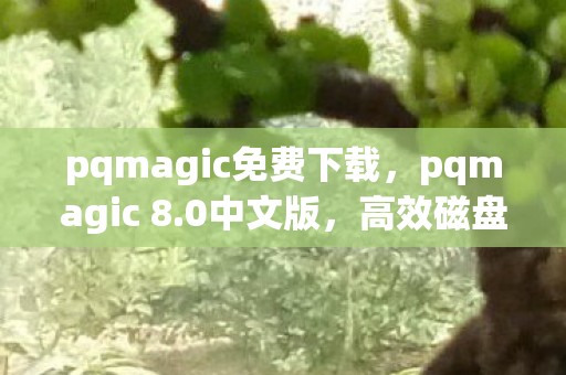 pqmagic免费下载，pqmagic 8.0中文版，高效磁盘管理的得力助手