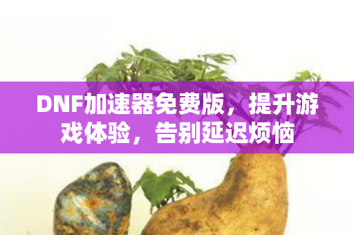 DNF加速器免费版,提升游戏体验,告别延迟烦恼 DNF加速器免费版,提升游戏体验,告别延迟烦恼