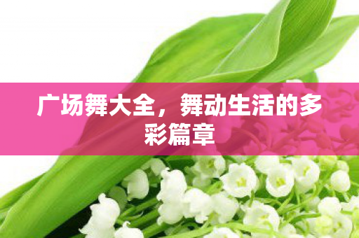 广场舞大全，舞动生活的多彩篇章