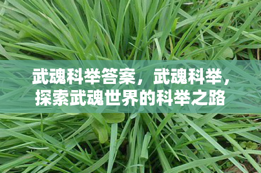 武魂科举答案,武魂科举,探索武魂世界的科举之路 武魂科举答案,武魂科举,探索武魂世界的科举之路