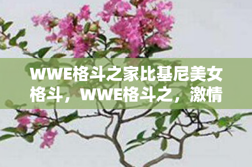 WWE格斗之家比基尼美女格斗,WWE格斗之,激情与荣耀的碰撞 WWE格斗之家比基尼美女格斗,WWE格斗之,激情与荣耀的碰撞