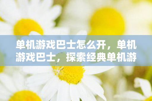 单机游戏巴士怎么开,单机游戏巴士,探索经典单机游戏的魅力 单机游戏巴士怎么开,单机游戏巴士,探索经典单机游戏的魅力
