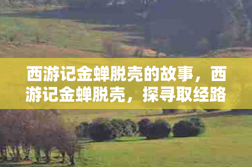 西游记金蝉脱壳的故事，西游记金蝉脱壳，探寻取经路上的智慧与成长