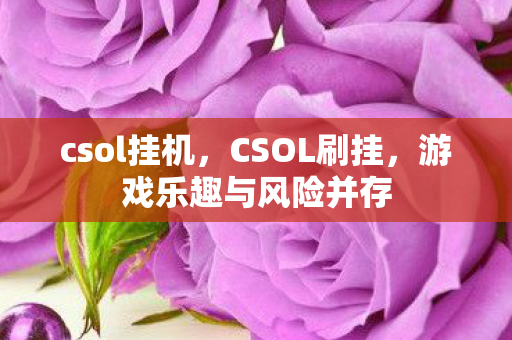 csol挂机，CSOL刷挂，游戏乐趣与风险并存