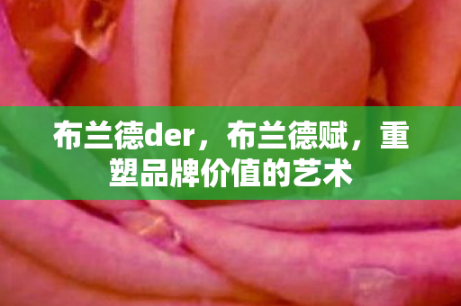 布兰德der,布兰德赋,重塑品牌价值的艺术 布兰德der,布兰德赋,重塑品牌价值的艺术