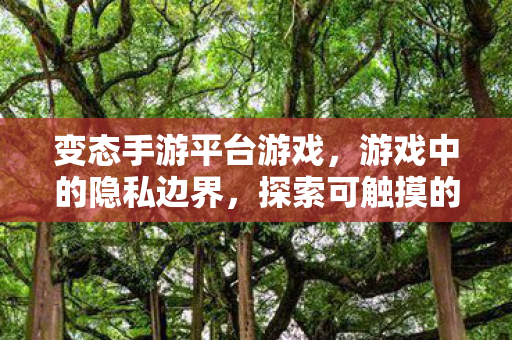 变态手游平台游戏，游戏中的隐私边界，探索可触摸的虚拟世界