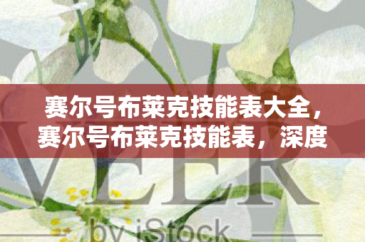 赛尔号布莱克技能表大全，赛尔号布莱克技能表，深度解析与实战应用