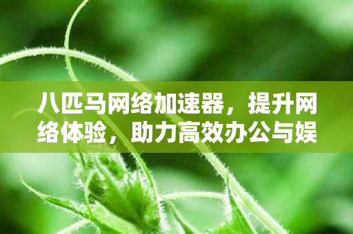 八匹马网络加速器，提升网络体验，助力高效办公与娱乐