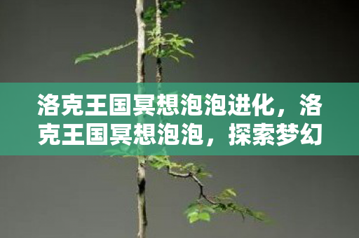 洛克王国冥想泡泡进化，洛克王国冥想泡泡，探索梦幻王国的治愈之旅