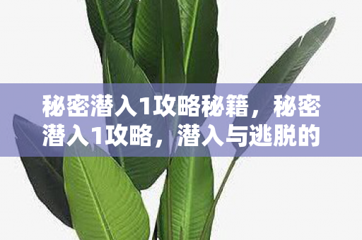 秘密潜入1攻略秘籍，秘密潜入1攻略，潜入与逃脱的艺术