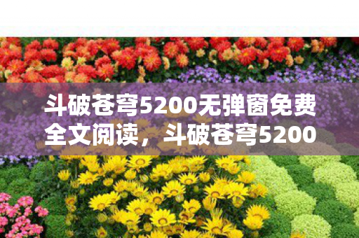 斗破苍穹5200无弹窗免费全文阅读,斗破苍穹5200,探索虚拟世界的无限可能 斗破苍穹5200无弹窗免费全文阅读,斗破苍穹5200,探索虚拟世界的无限可能