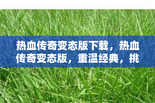 热血传奇变态版下载，热血传奇变态版，重温经典，挑战无限可能