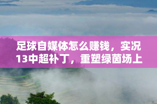 足球自媒体怎么赚钱,实况13中超补丁,重塑绿茵场上的辉煌 足球自媒体怎么赚钱,实况13中超补丁,重塑绿茵场上的辉煌