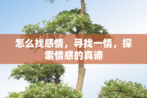怎么找感情，寻找一情，探索情感的真谛