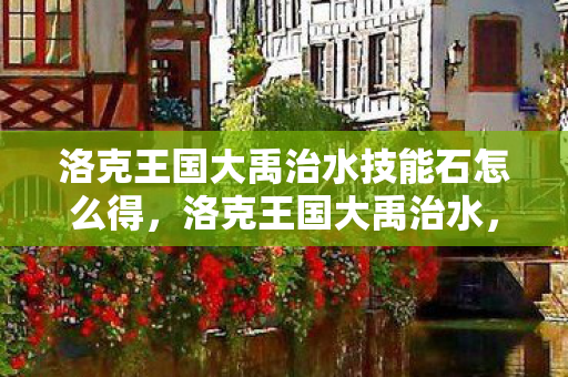 洛克王国大禹治水技能石怎么得，洛克王国大禹治水，一场智慧与勇气的传奇