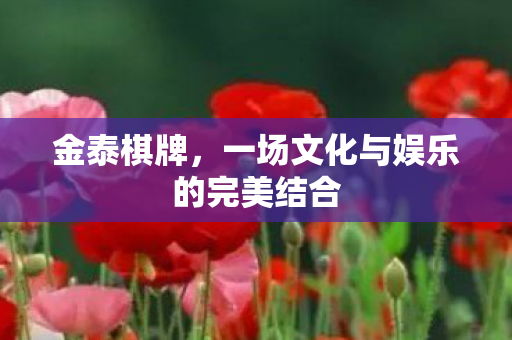 金泰棋牌，一场文化与娱乐的完美结合