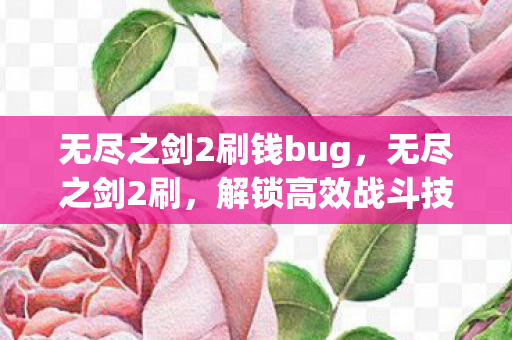 无尽之剑2刷钱bug，无尽之剑2刷，解锁高效战斗技巧，提升游戏乐趣