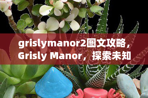 grislymanor2图文攻略，Grisly Manor，探索未知领域的奇幻冒险