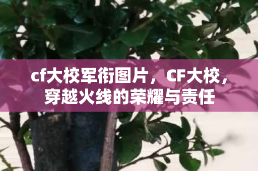 cf大校军衔图片,CF大校,穿越火线的荣耀与责任 cf大校军衔图片,CF大校,穿越火线的荣耀与责任