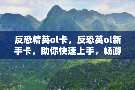 反恐精英ol卡，反恐英ol新手卡，助你快速上手，畅游游戏世界