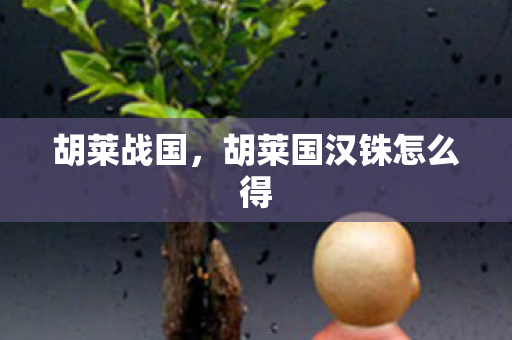 胡莱战国,胡莱国汉铢怎么得 胡莱战国,胡莱国汉铢怎么得