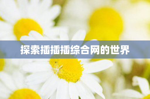 探索插插插综合网的世界