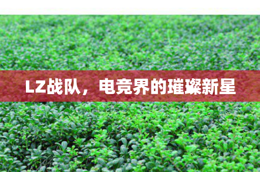 LZ战队，电竞界的璀璨新星