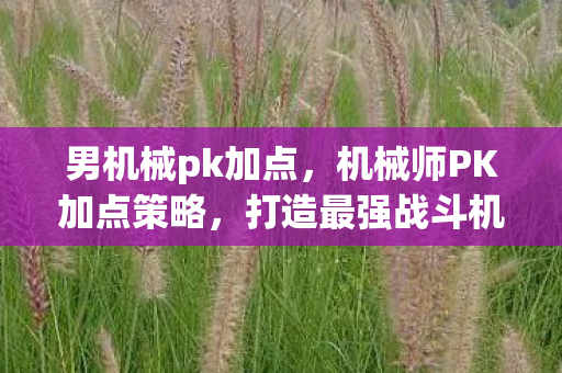 男机械pk加点，机械师PK加点策略，打造最强战斗机器