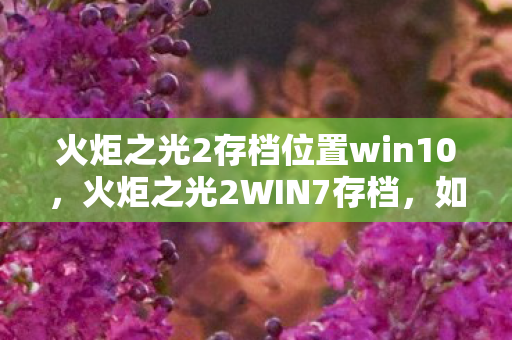 火炬之光2存档位置win10，火炬之光2WIN7存档，如何备份与恢复