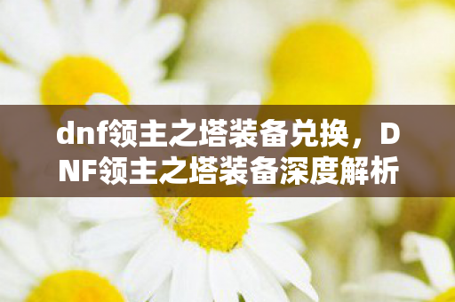 dnf领主之塔装备兑换，DNF领主之塔装备深度解析，打造最强战斗力的必备神器