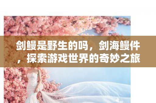 剑鳗是野生的吗，剑海鳗件，探索游戏世界的奇妙之旅
